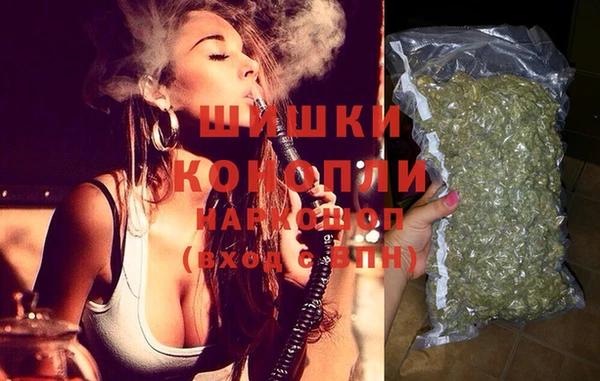 PSILOCYBIN Балахна