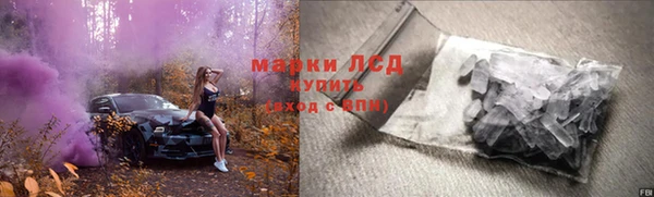 PSILOCYBIN Балахна