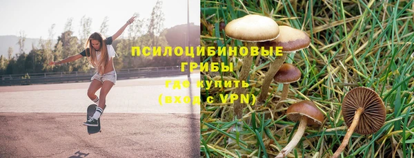твердый Новозыбков