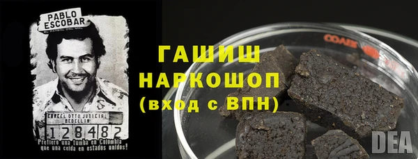 PSILOCYBIN Балахна