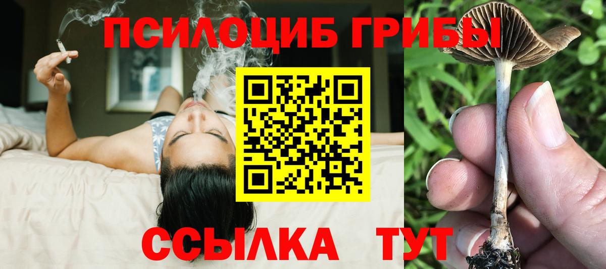 Ульяновск  Галлюциногенные грибы Psilocybe  Вход с VPN  Галлюциногенные грибы ЛСД 